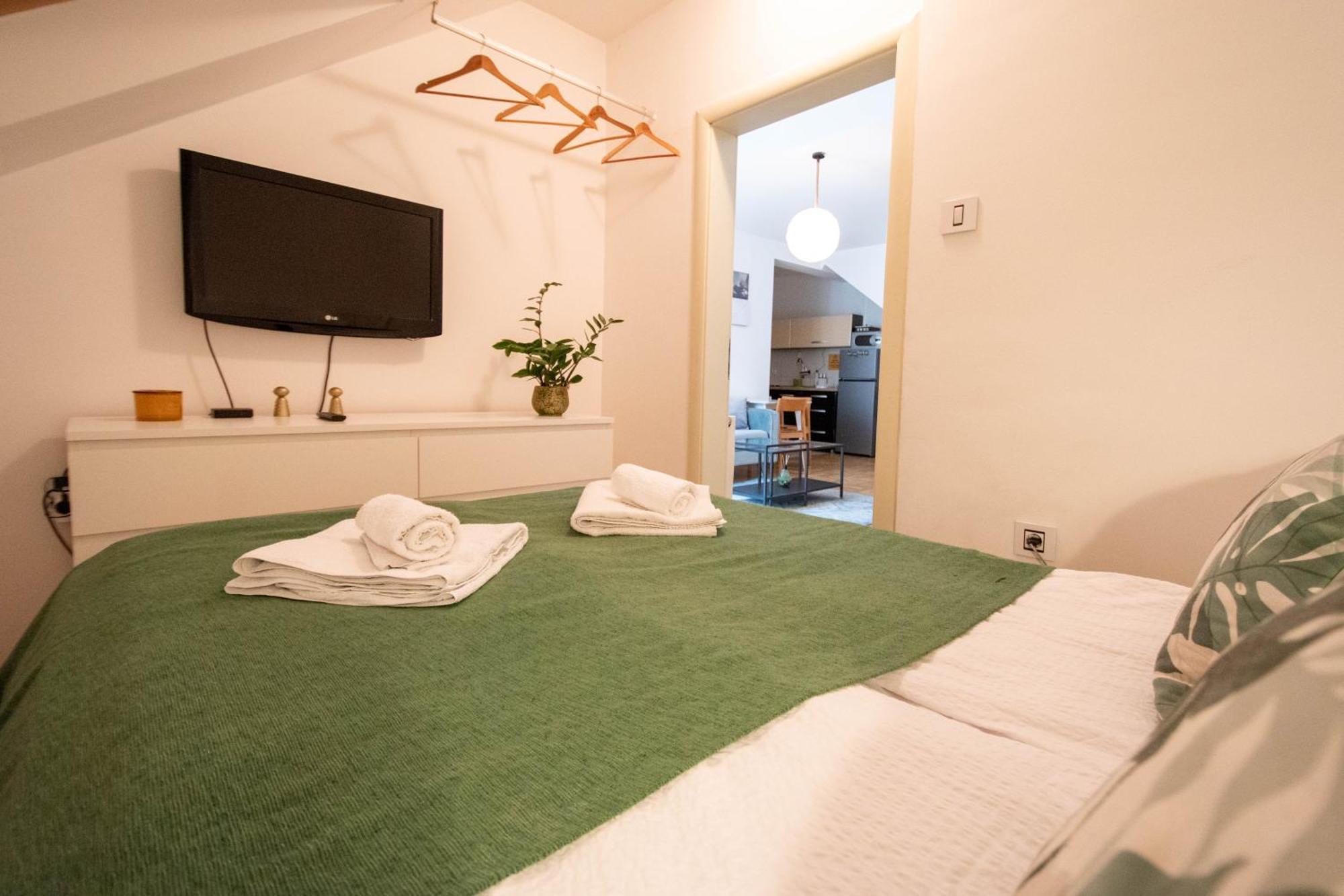 Spacious 1-Bedroom Apartment Novi Sad Dış mekan fotoğraf